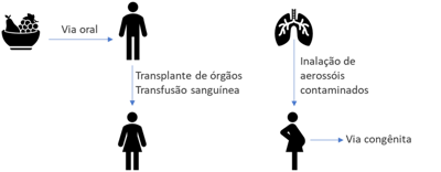 Questão O diagrama abaixo ilustra a múltiplas formas de transmissão de ...