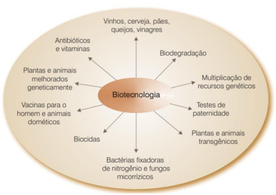 Questão POROPOSTA DE REDAÇÃOTEMA: A biotecnologia e seus impactos na vida  humanaTexto I O indivíduo está se tornando ...