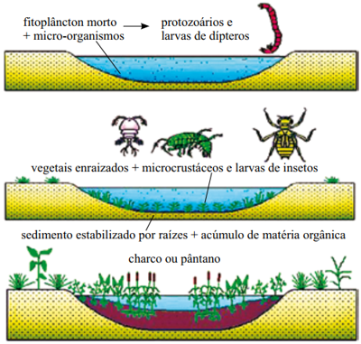 Questão A figura ilustra um processo de transformação ambiental, que ...